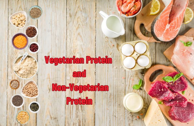 Highest protein food: Vegetarian Protein VS. Non-Vegetarian Protein