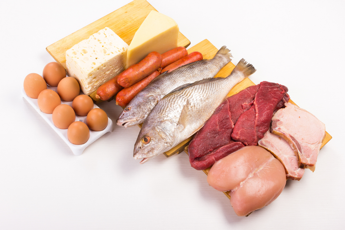 Protein Function