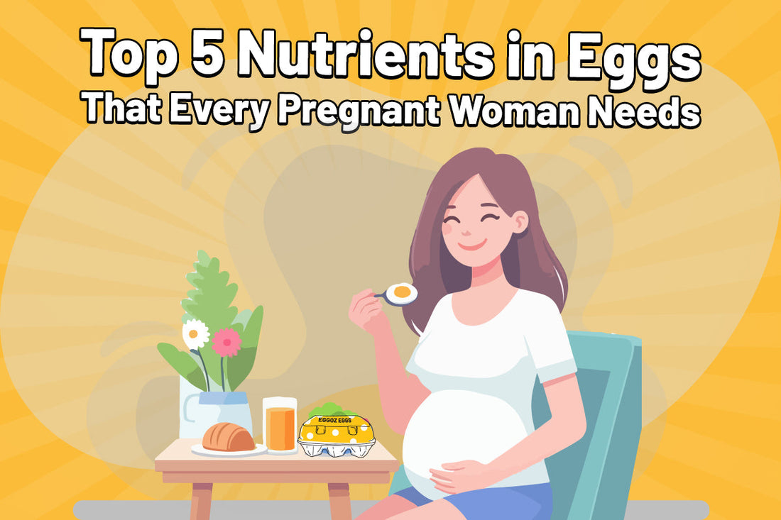 Top 5 Nutrients in Eggs That Every Pregnant Woman Needs