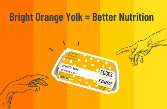 Egg Yolk Colour: A Reflection of Quality or Perception?
