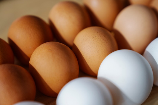 Difference Between White Eggs and Brown Eggs
