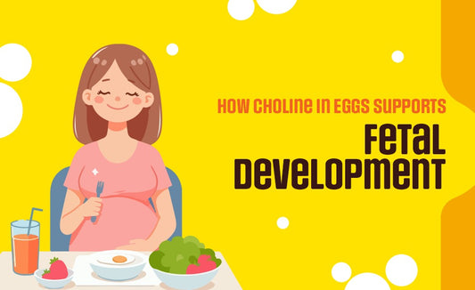 How Choline in Eggs Supports Fetal Development