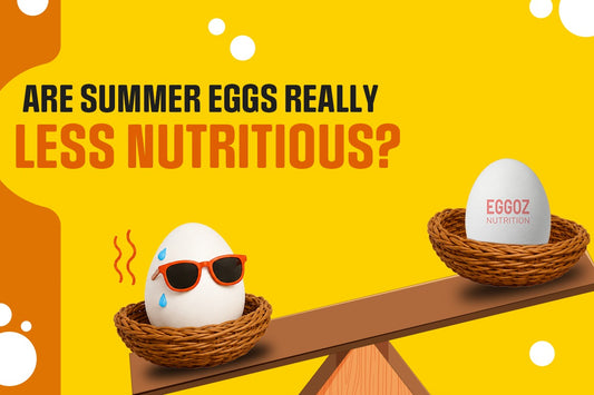 Are Summer Eggs Really Less Nutritious?