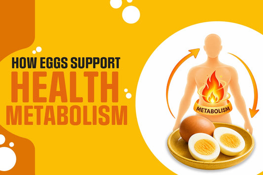 How Eggs Support Healthy Metabolism