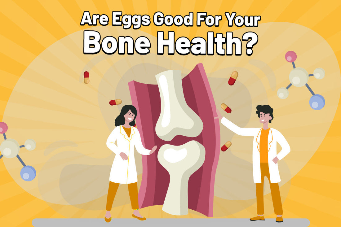 Are Eggs Good For Your Bone Health?