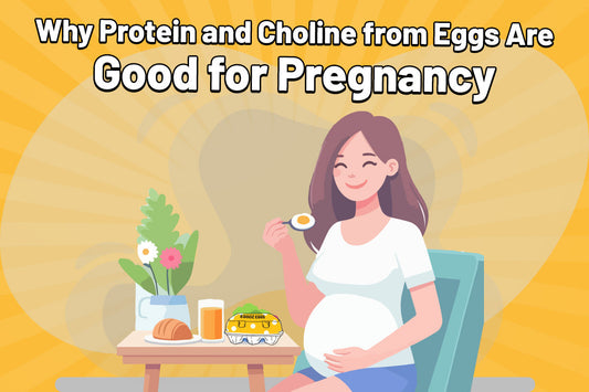 Why Protein and Choline from Eggs Are Good for Pregnancy?