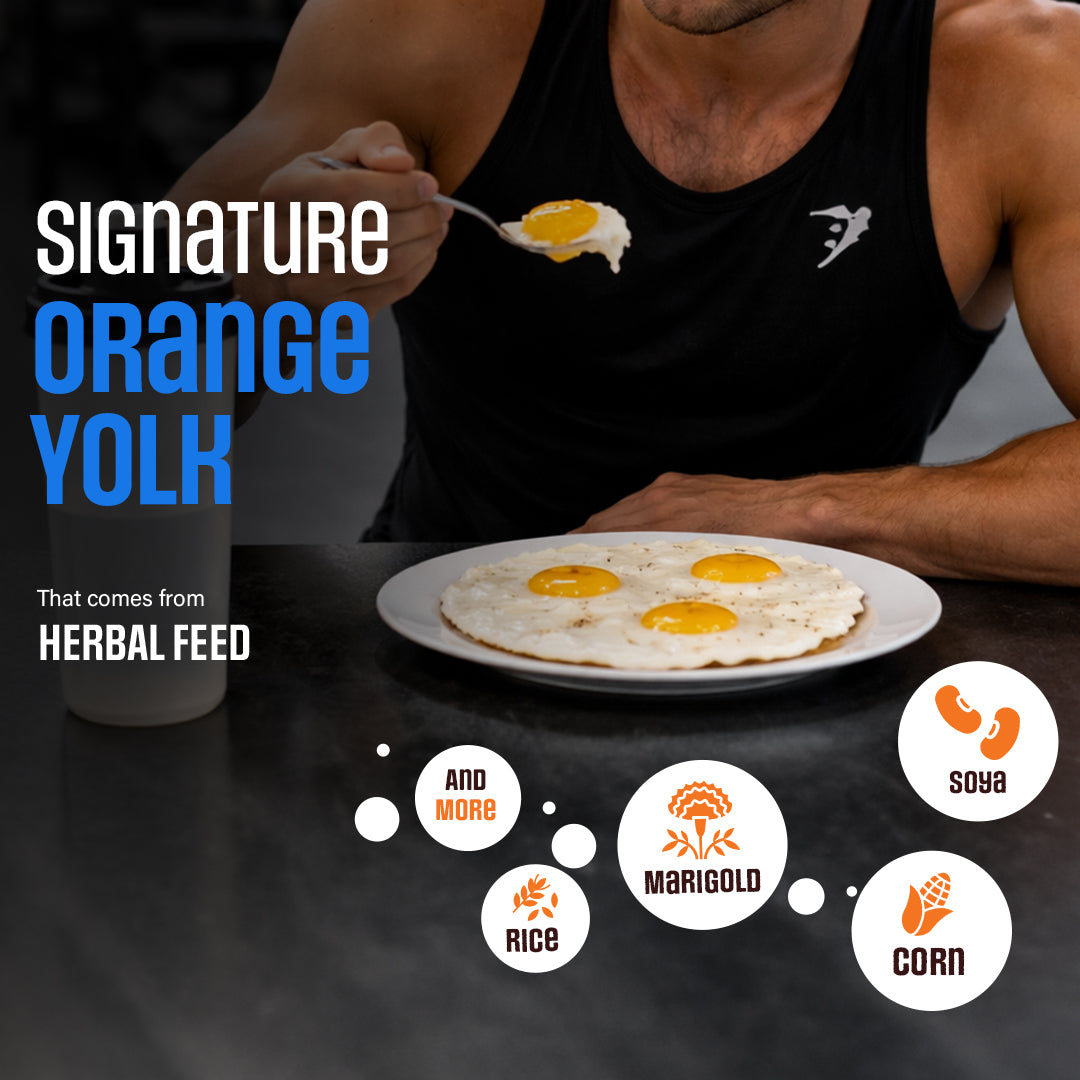 Protein Plus Eggs