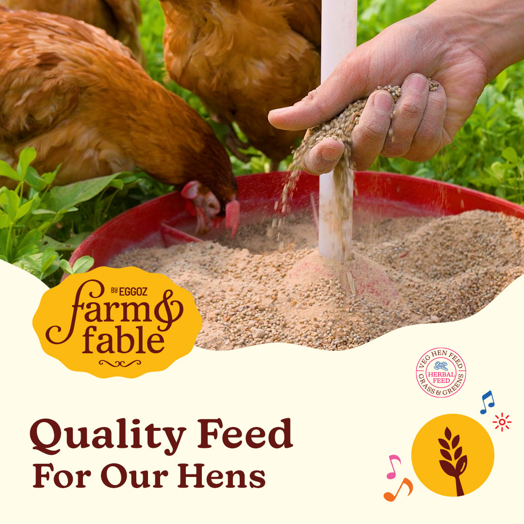 Farm & Fable Free Range Brown Eggs