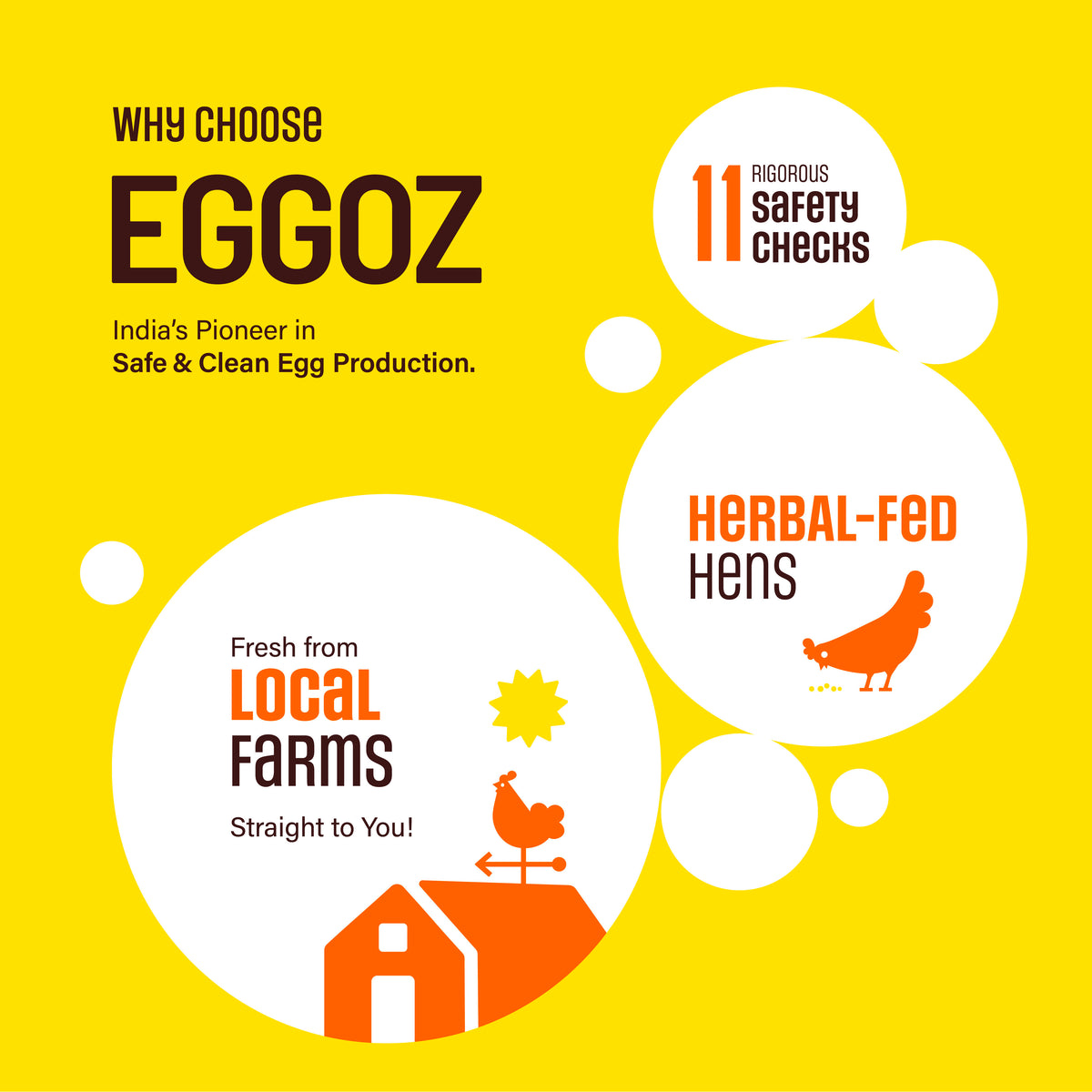 Nutrition White Eggs