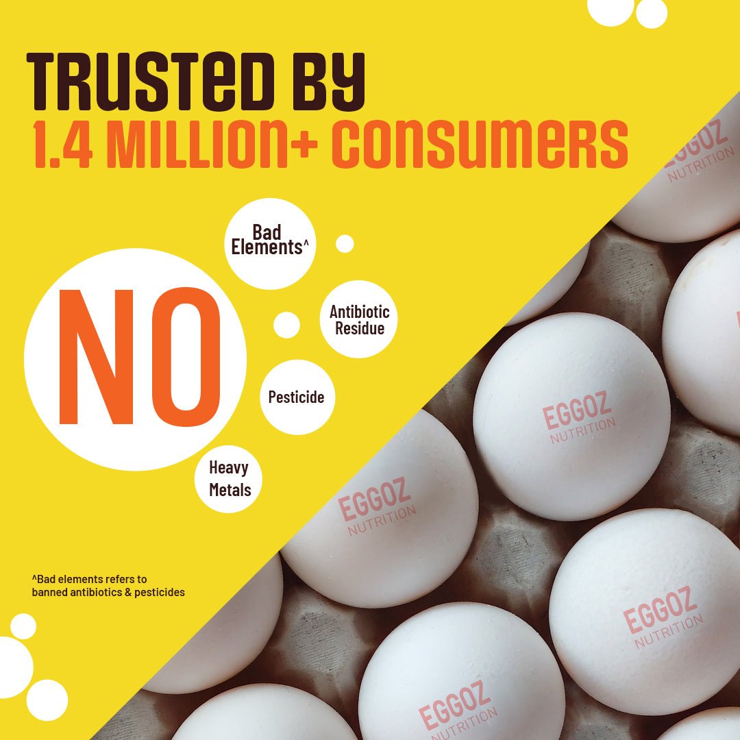 Eggoz Nutrition White Eggs
