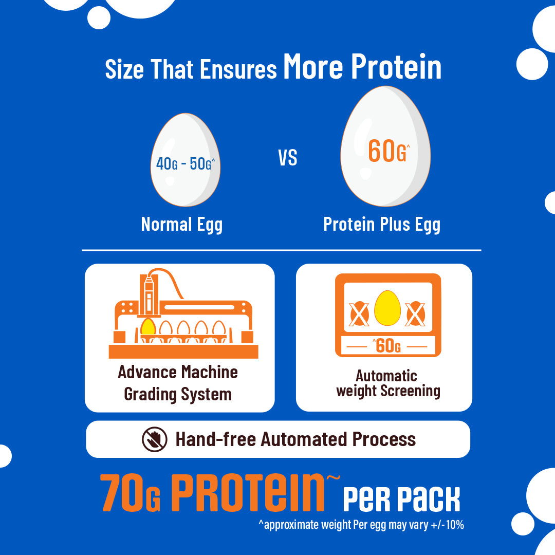 Protein Plus Eggs