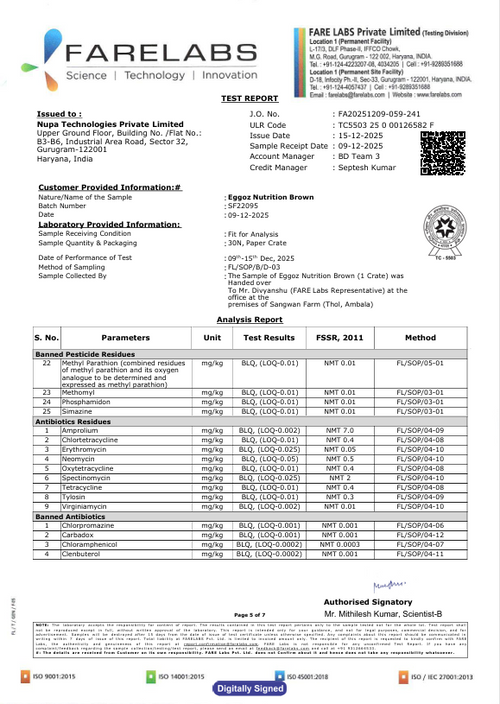 Brown Eggs Dec'25-Report 1