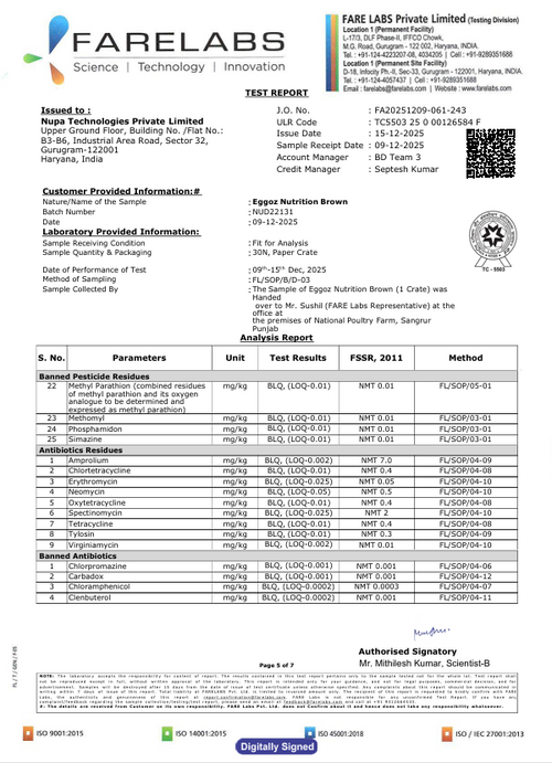 Brown Eggs Dec'25-Report 2