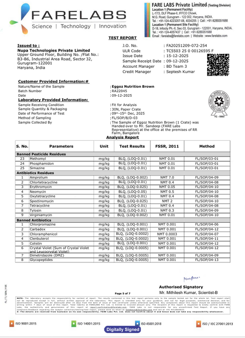 Brown Eggs Dec'25-Report 4