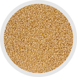 BAJRA