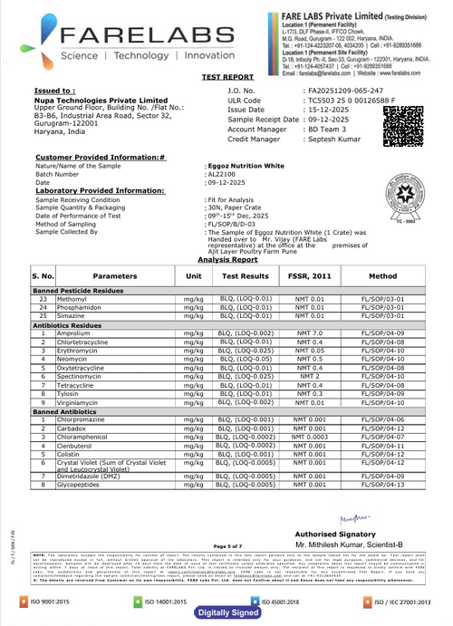 White Egg Dec'25-Report 11