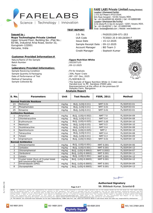 White Eggs Dec'25-Report 16