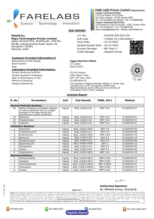 White Eggs Dec'25-Report 1