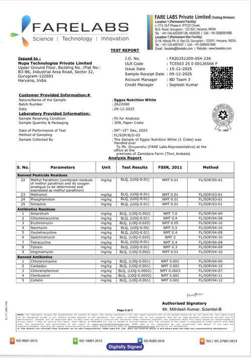 White Eggs Dec'25-Report 2