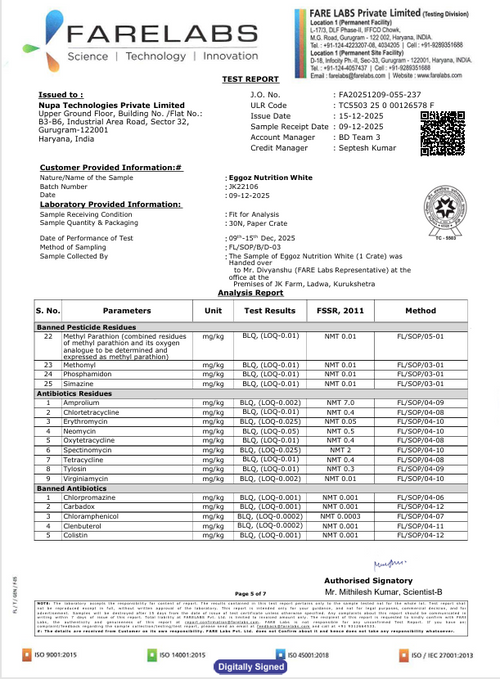 White Eggs Dec'25-Report 3