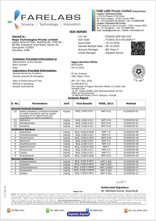 White Eggs Dec'25-Report 7