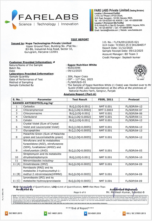 White Eggs Dec'25- Report 1