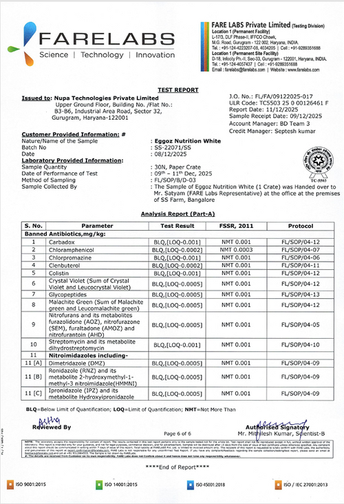 White Eggs Dec'25- Report 2