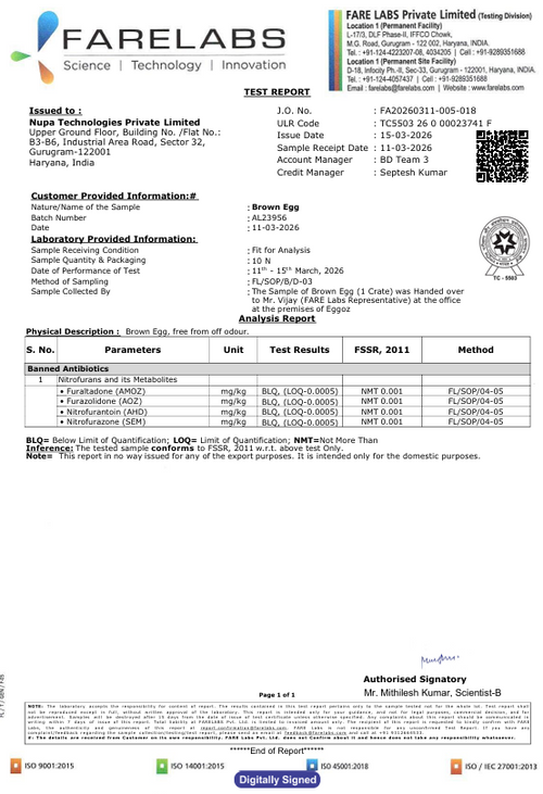 15th March'26-Report