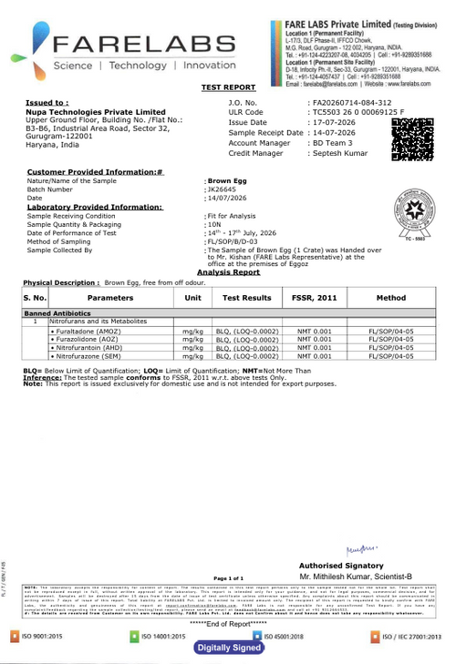 17th July'26-Report