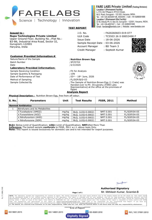 18th June'26-Report