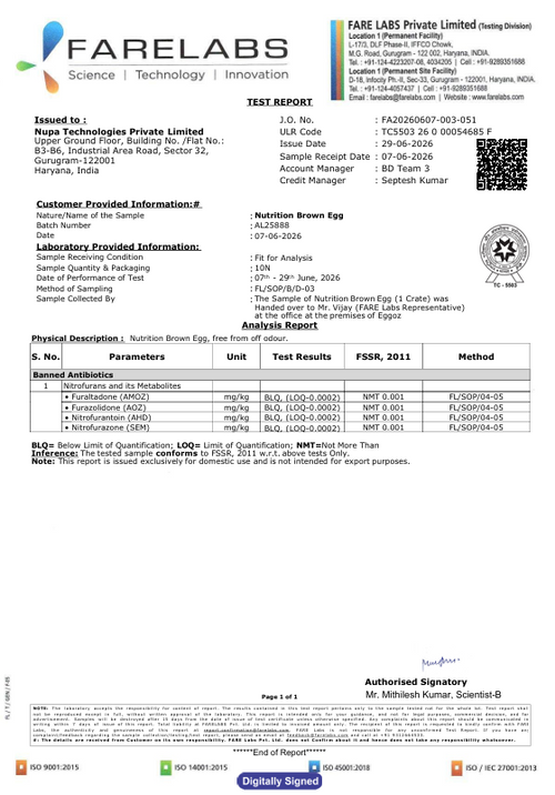 29th June'26-Report
