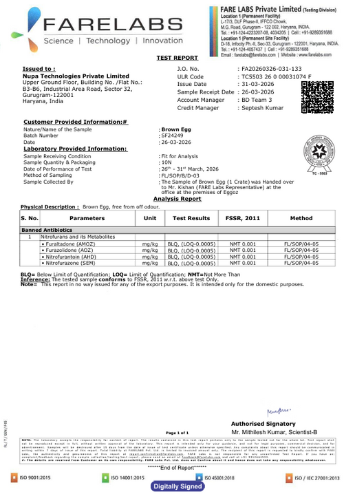 31st March'26-Report