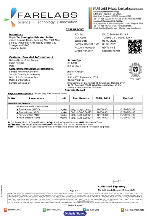 8th Sept'26-Report