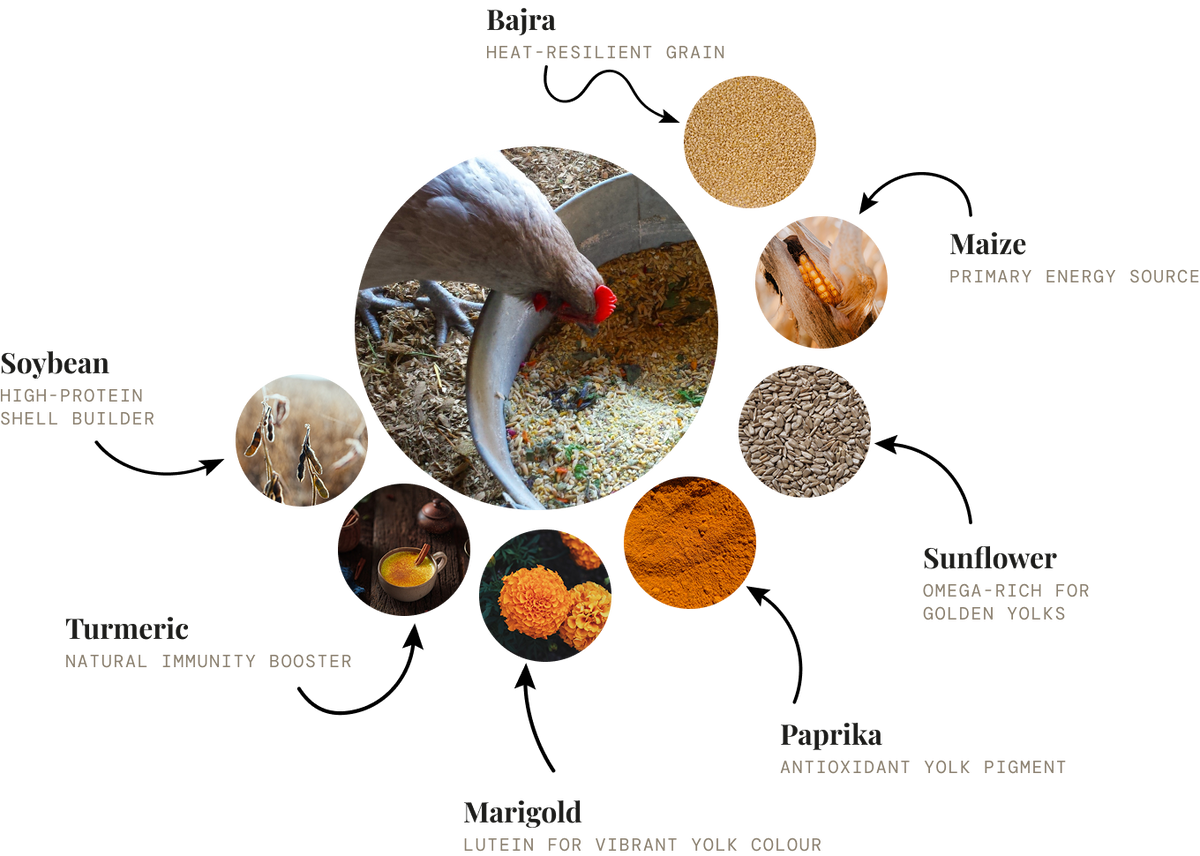 What makes our yolks orange