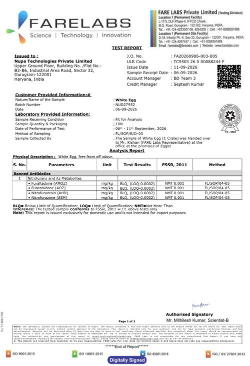 11th Sept'26-Report