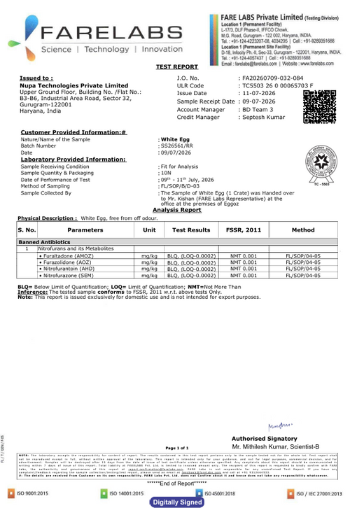 11th July'26-Report