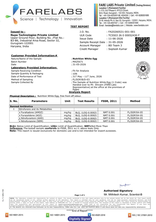 11th June'26-Report