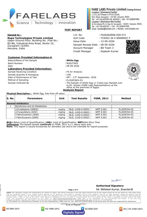 13th Sept'26-Report