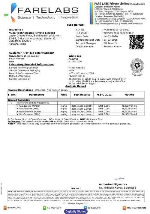 14th March'26-Report