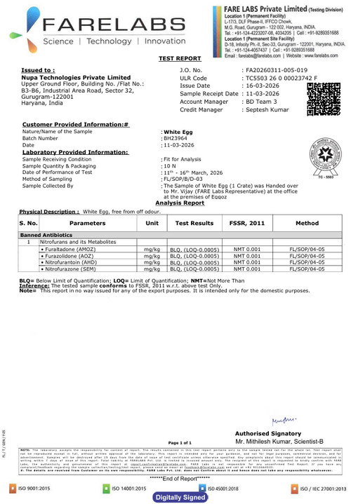 16th March'26-Report
