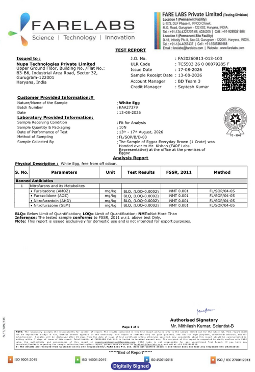 17th Aug'26-Report