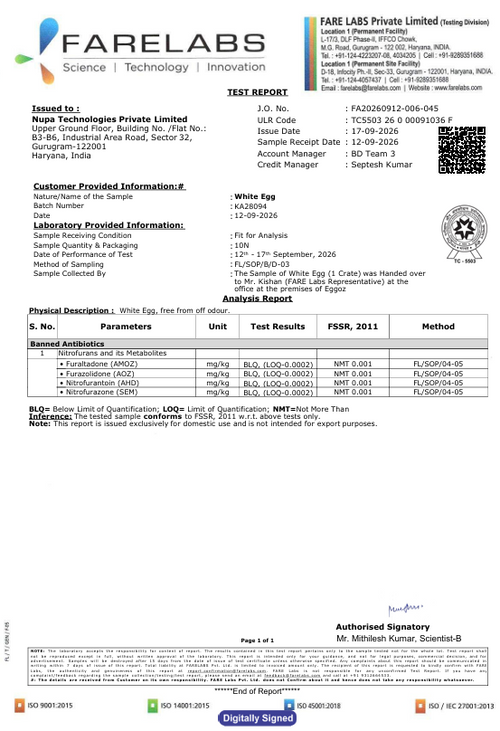 17th Sept'26-Report