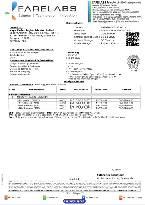 20th March'26-Report