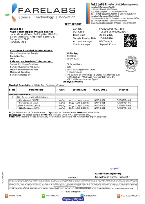 20th Sept'26-Report