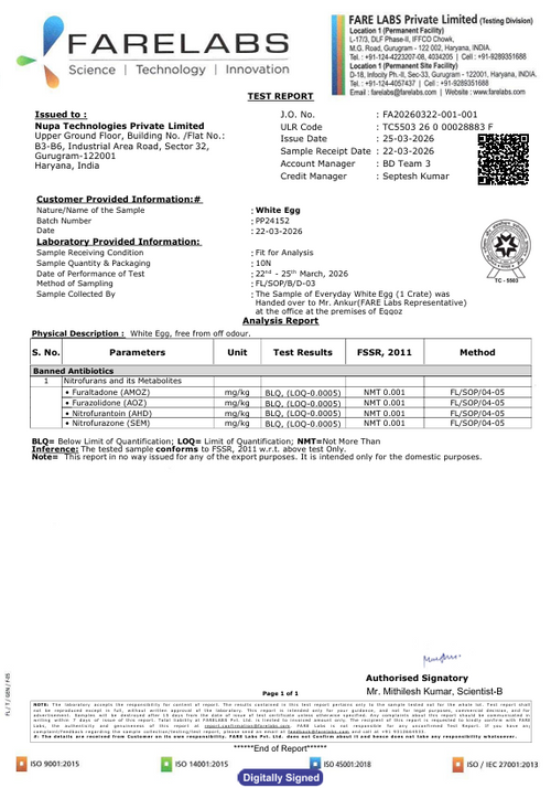 25th March'26-Report