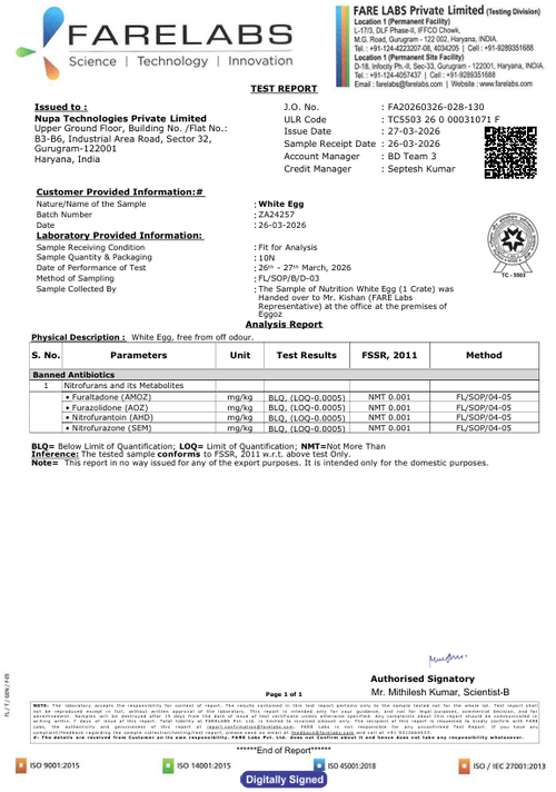 27th March'26-Report
