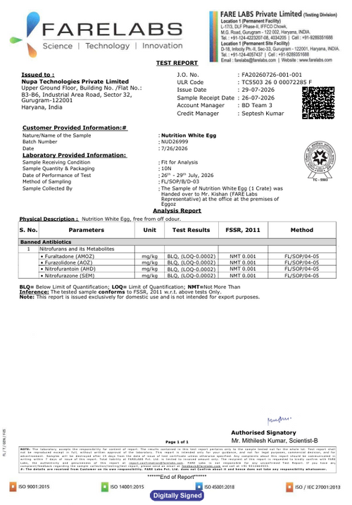 29th July'26-Report