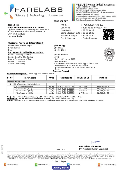 29th March'26-Report