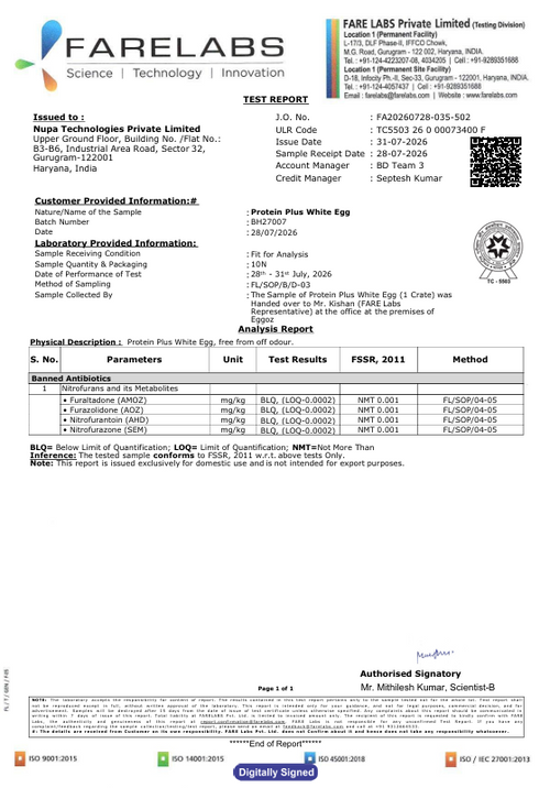 31st July'26-Report