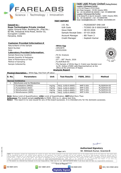 8th March'26-Report